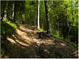 Bistriška planina - Koča na Dobrči